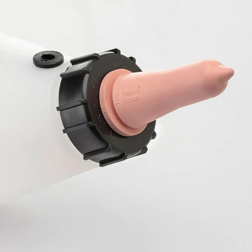 BIBERON PEACH TEATS® - Imagen 4